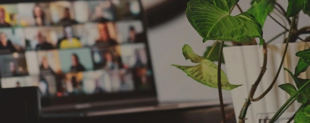 Laptop showing an online community meeting beside a green plant